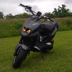 PGO pmx naked carbon