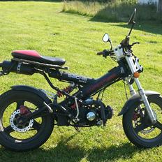 Sachs Madass