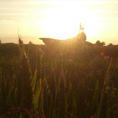 Derbi SENDA SM XTREME LC DD