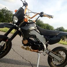 Apollo Orion   29 Gold Edition