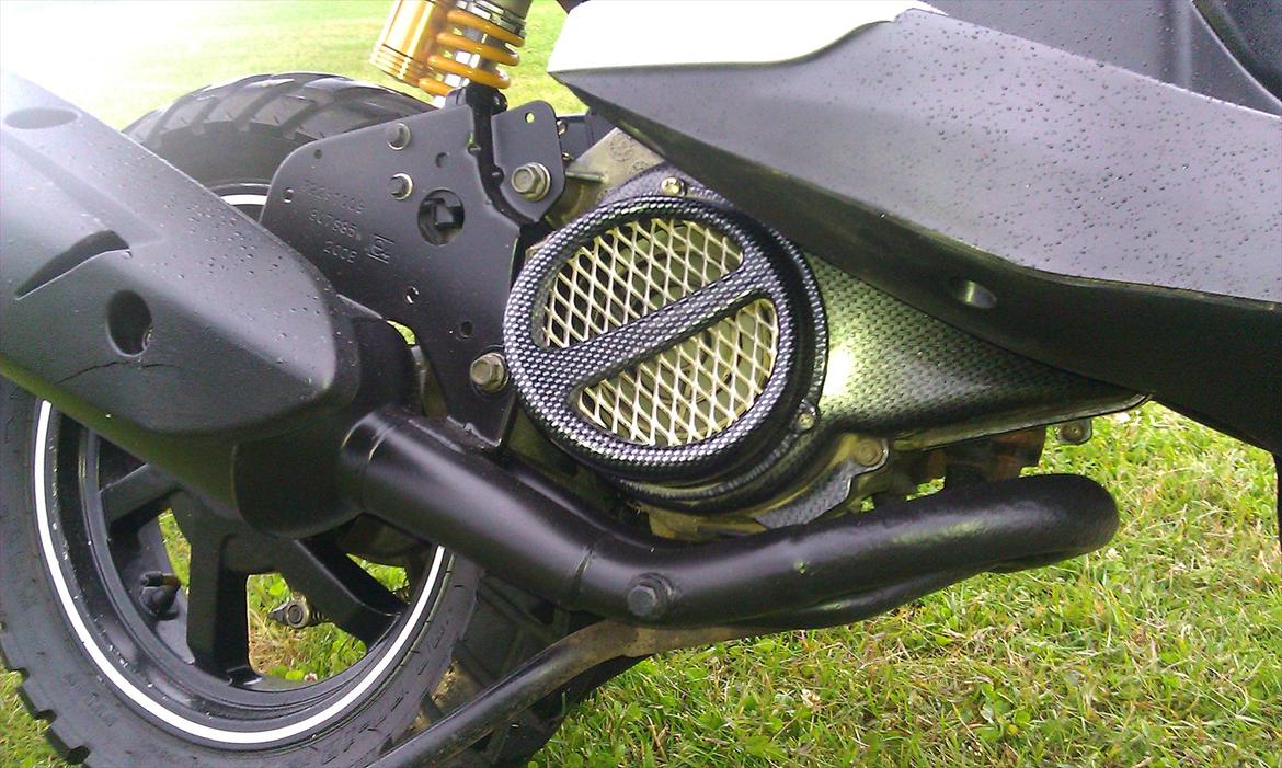 PGO pmx naked carbon billede 13