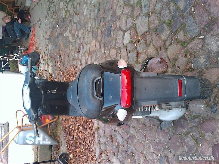 Piaggio Typhoon billede 4