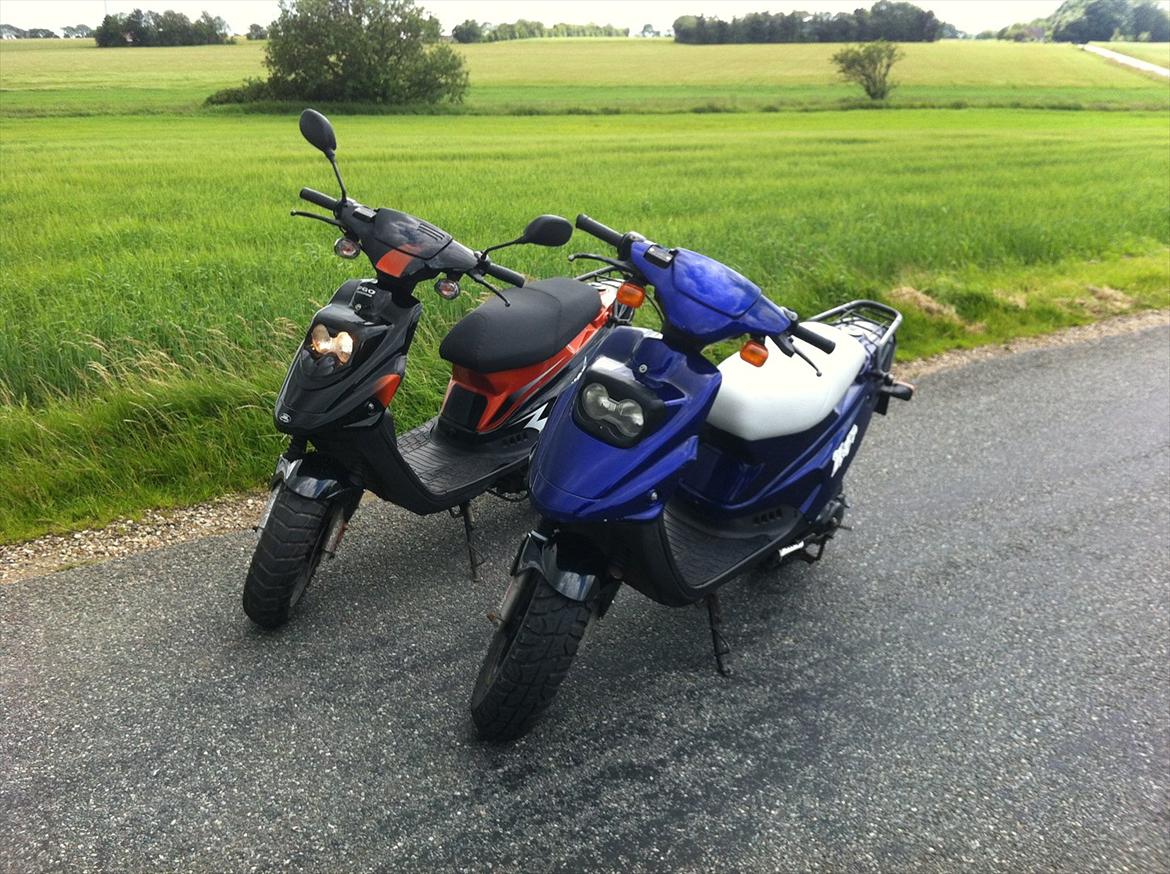 PGO Hot 50 billede 6