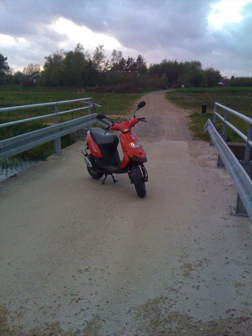 Gilera Stalker - Special edition "Tomaten" billede 10