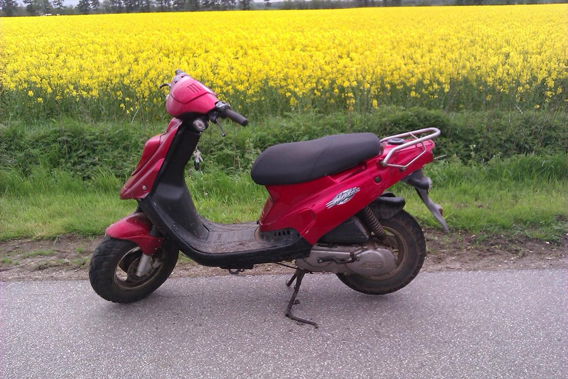 PGO hot 50 billede 9