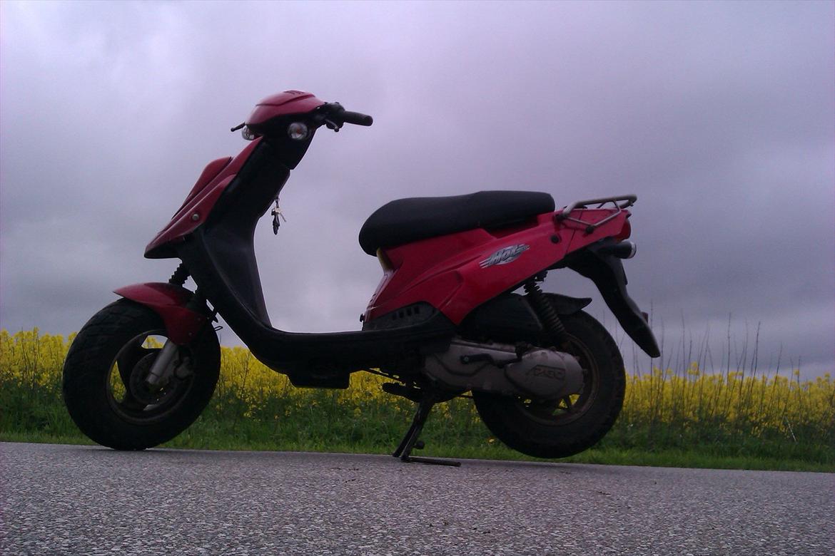 PGO hot 50 billede 10