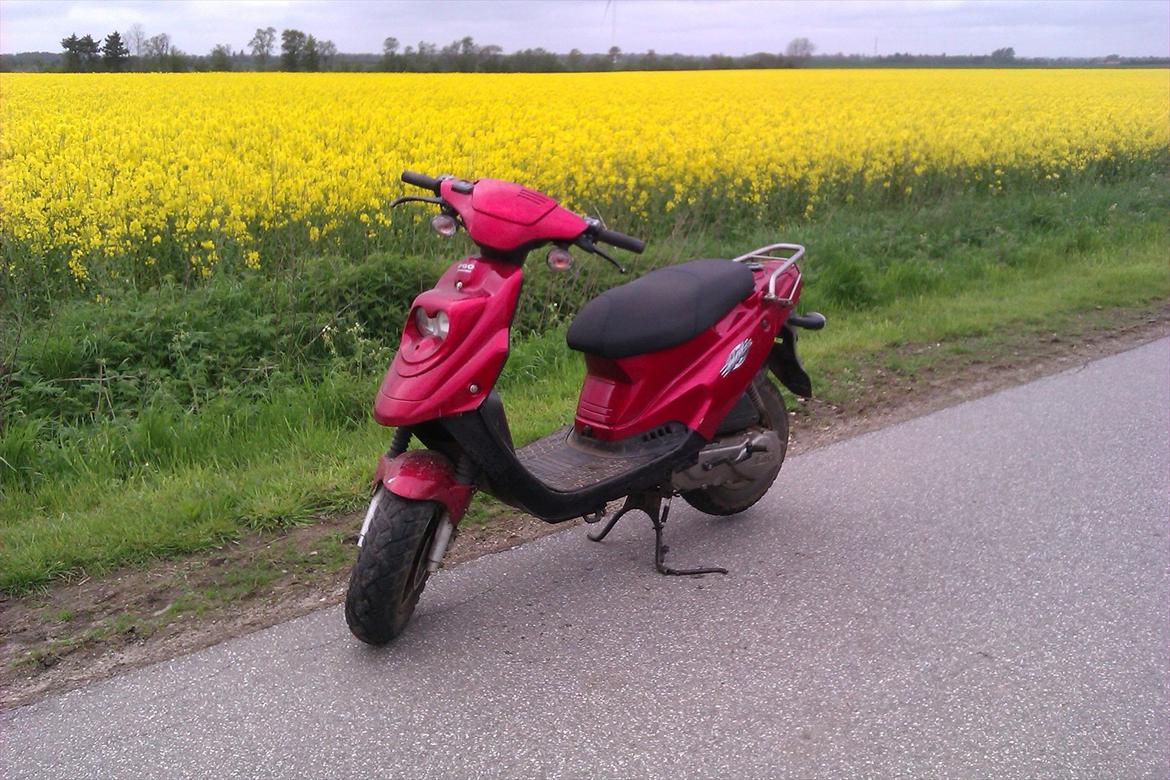 PGO hot 50 billede 11