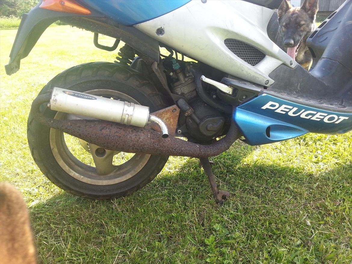 Peugeot speedfight billede 5