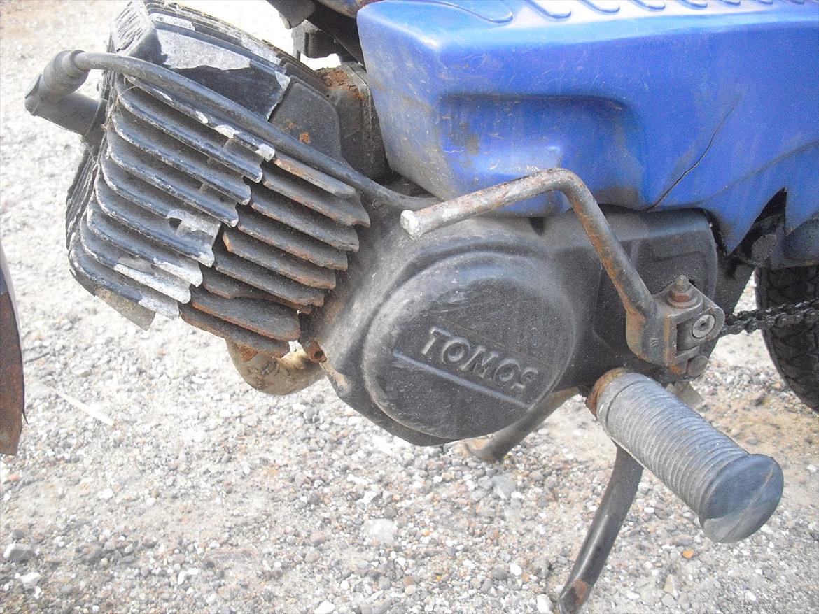 Tomos Quadro billede 11