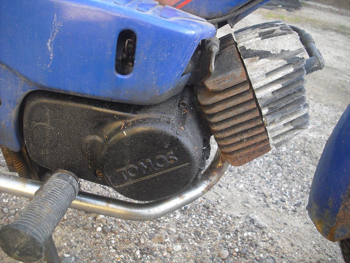 Tomos Quadro billede 12