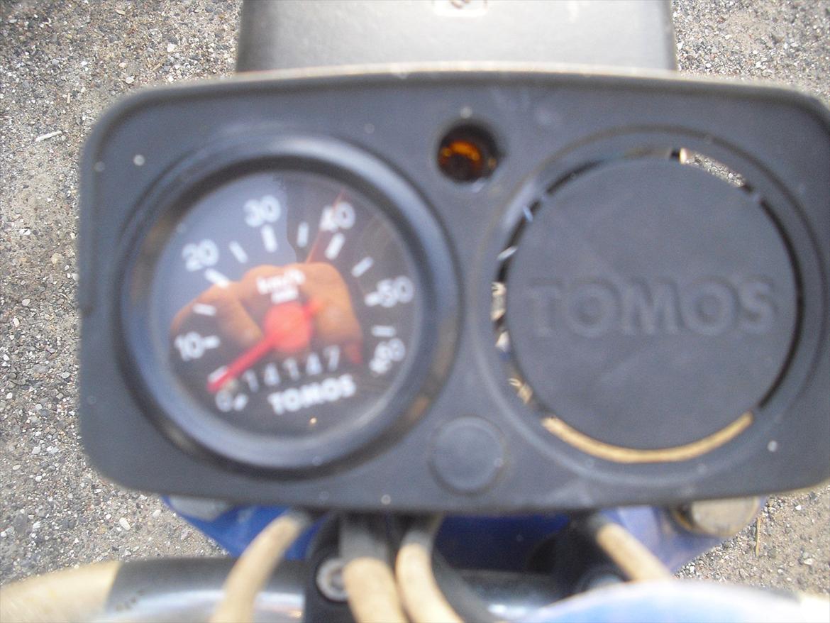 Tomos Quadro billede 14