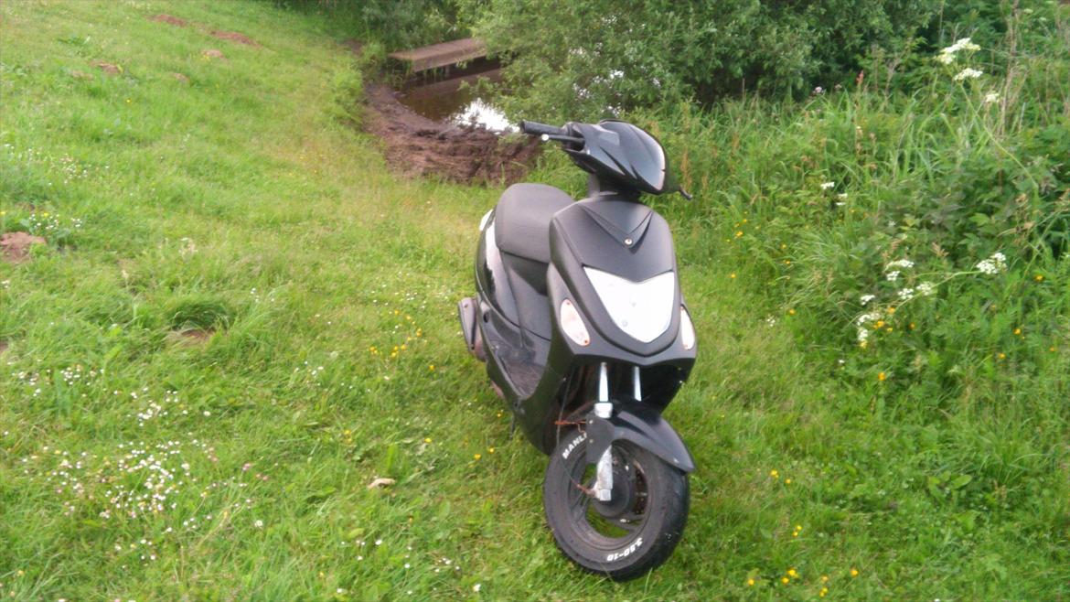 Giantco G-buddy billede 2