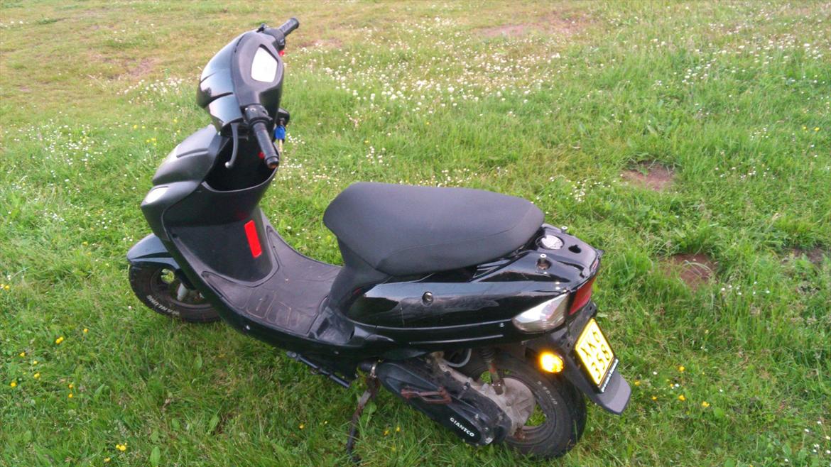 Giantco G-buddy billede 6