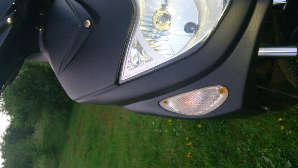 Giantco G-buddy billede 1