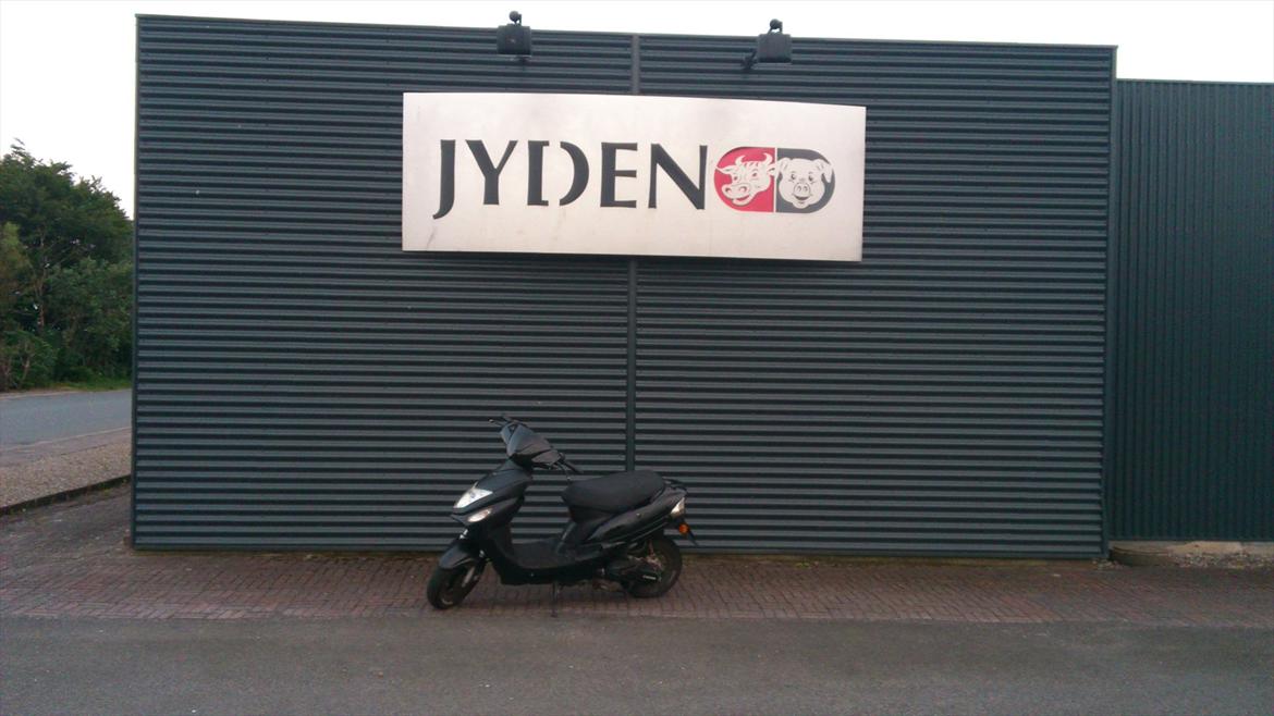 Giantco G-buddy billede 11