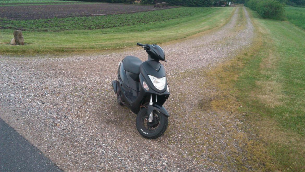 Giantco G-buddy billede 13