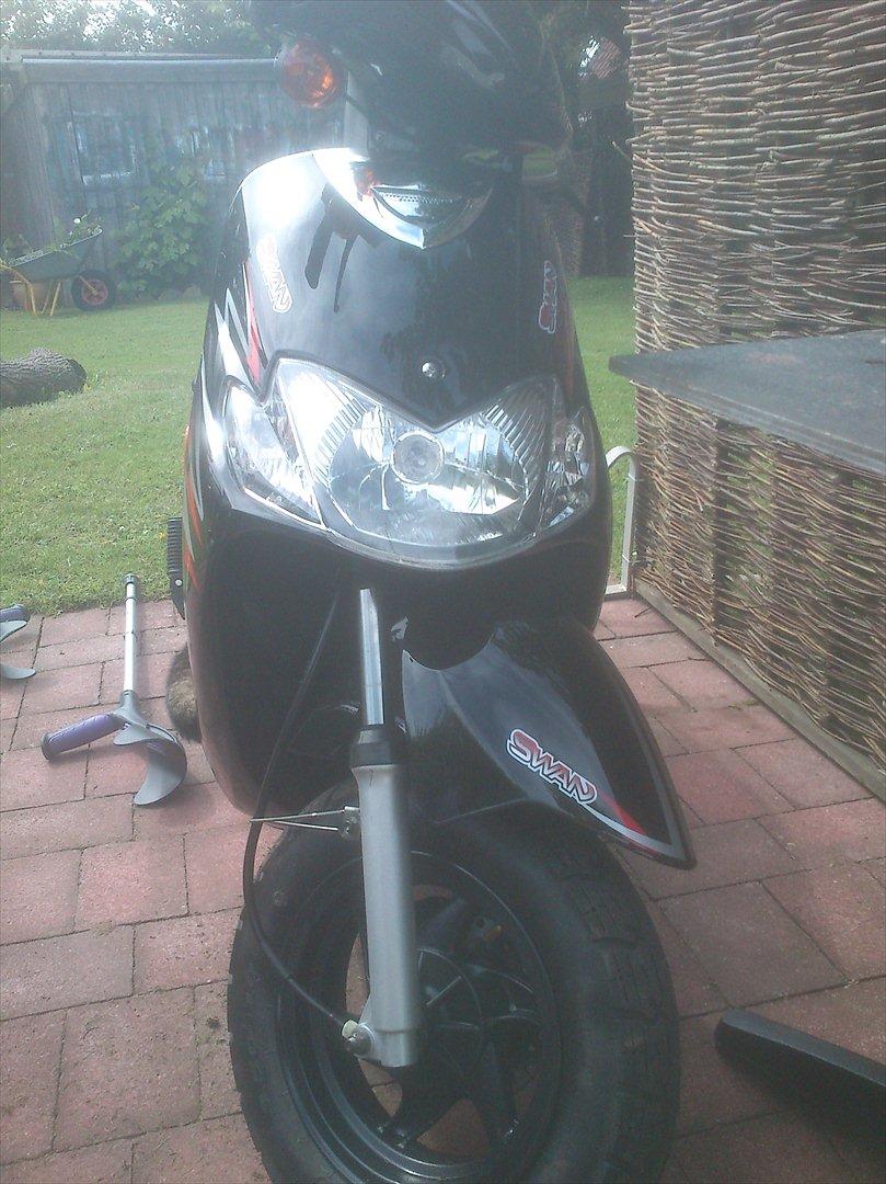 Leone swan billede 1