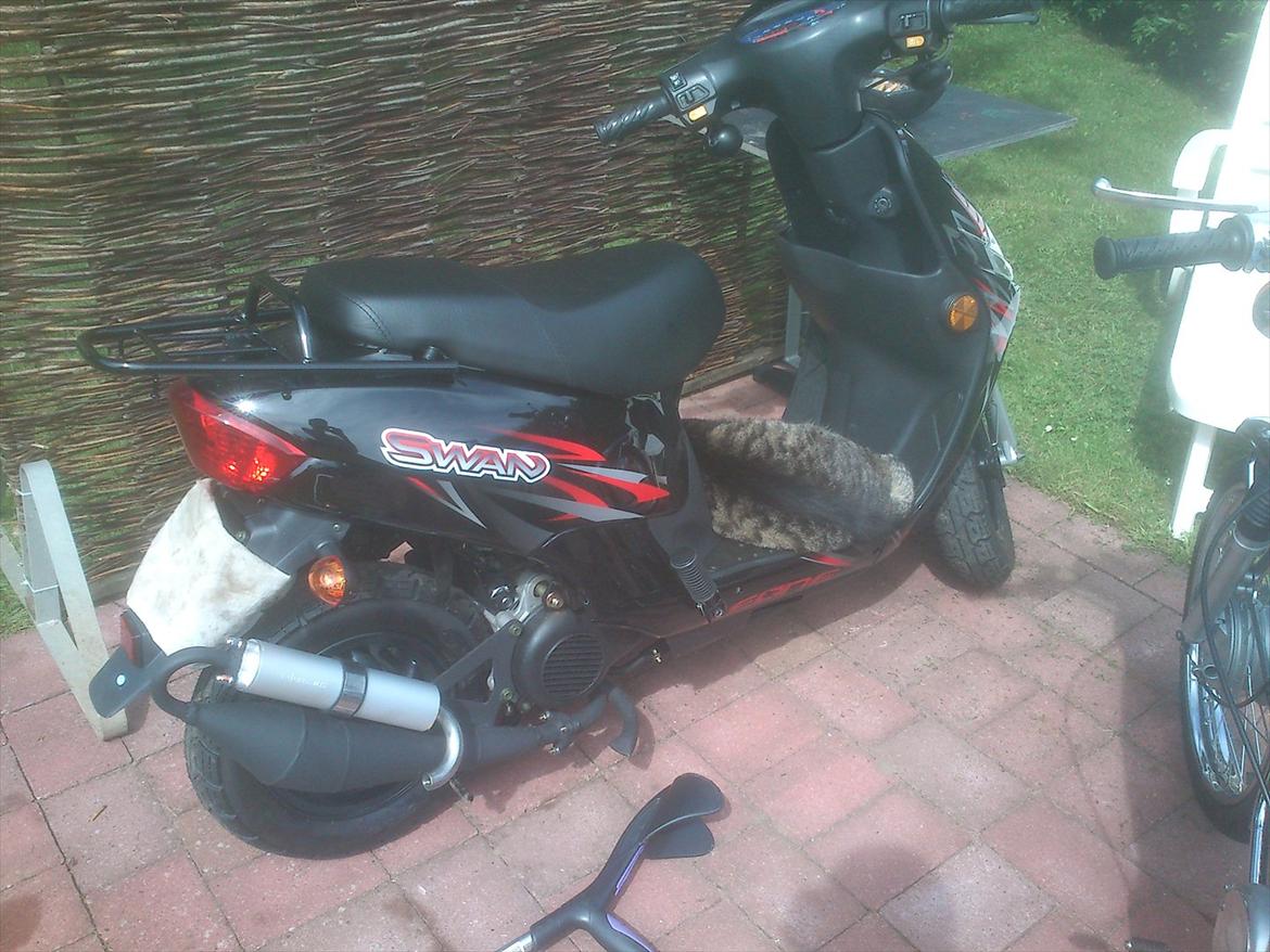 Leone swan billede 2