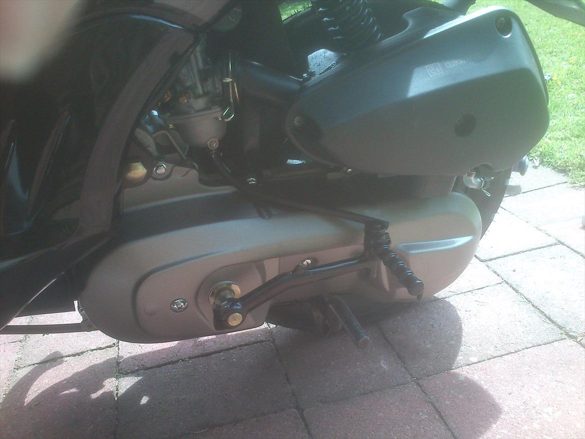 Leone swan billede 5