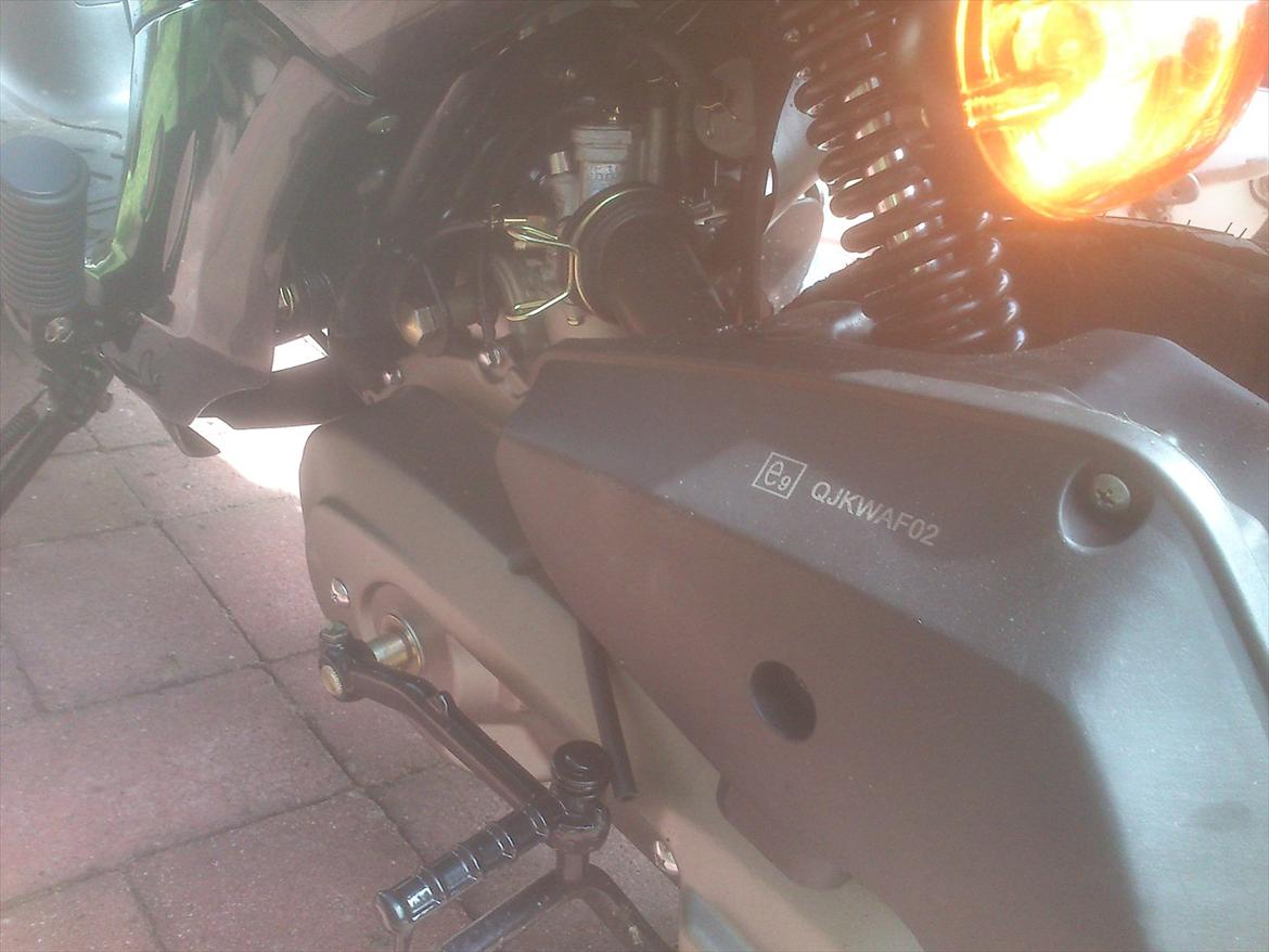 Leone swan billede 6