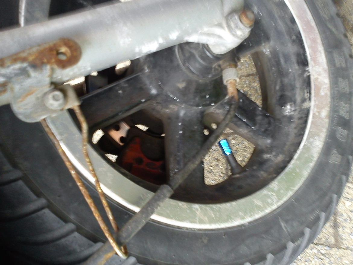 Keeway focus [BYD!] billede 15