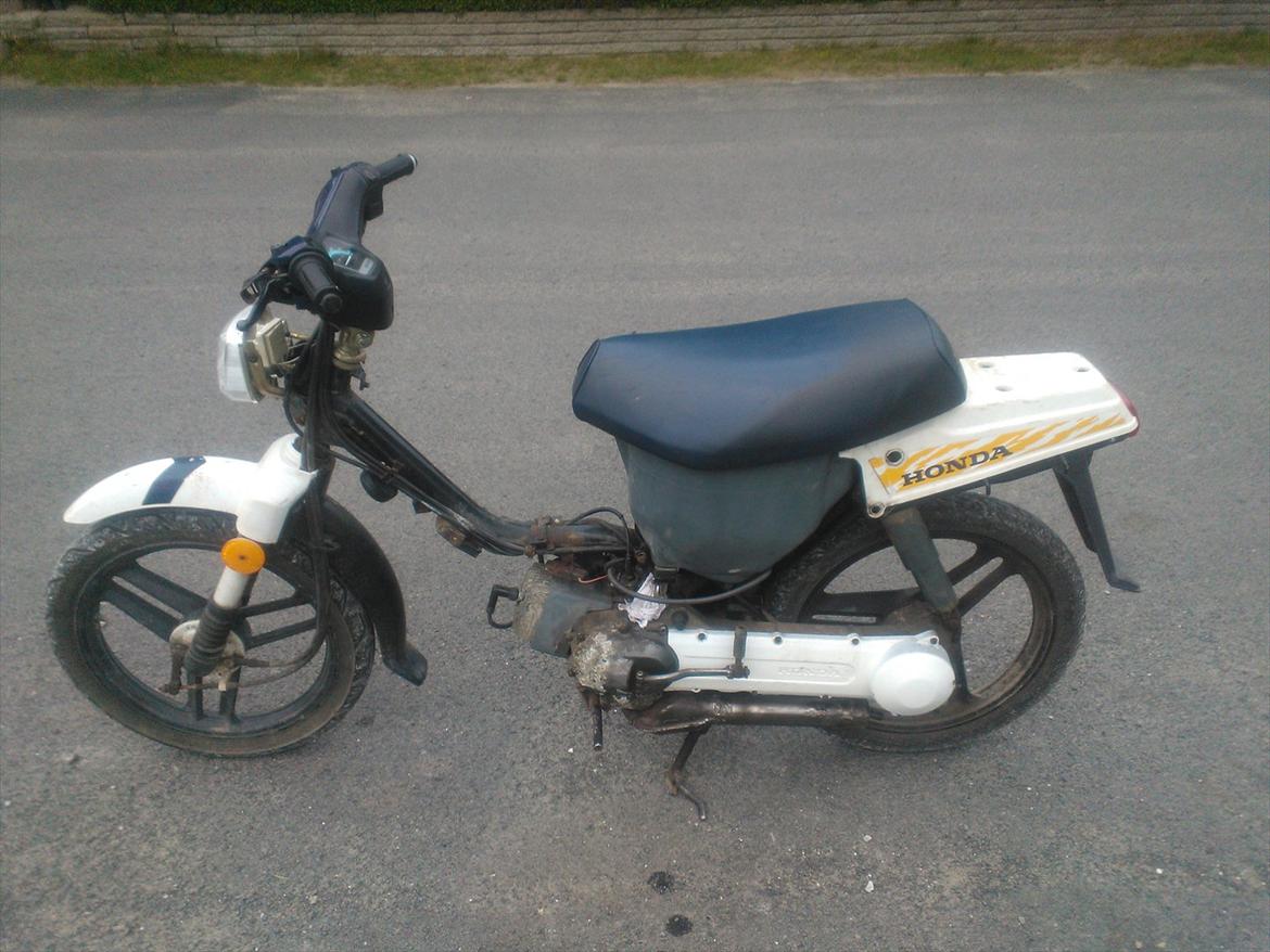 Honda wallaroo billede 1