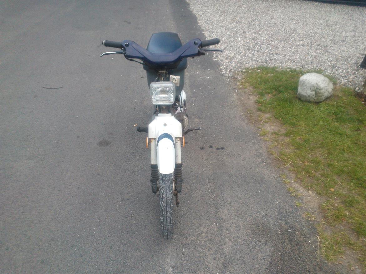 Honda wallaroo billede 2