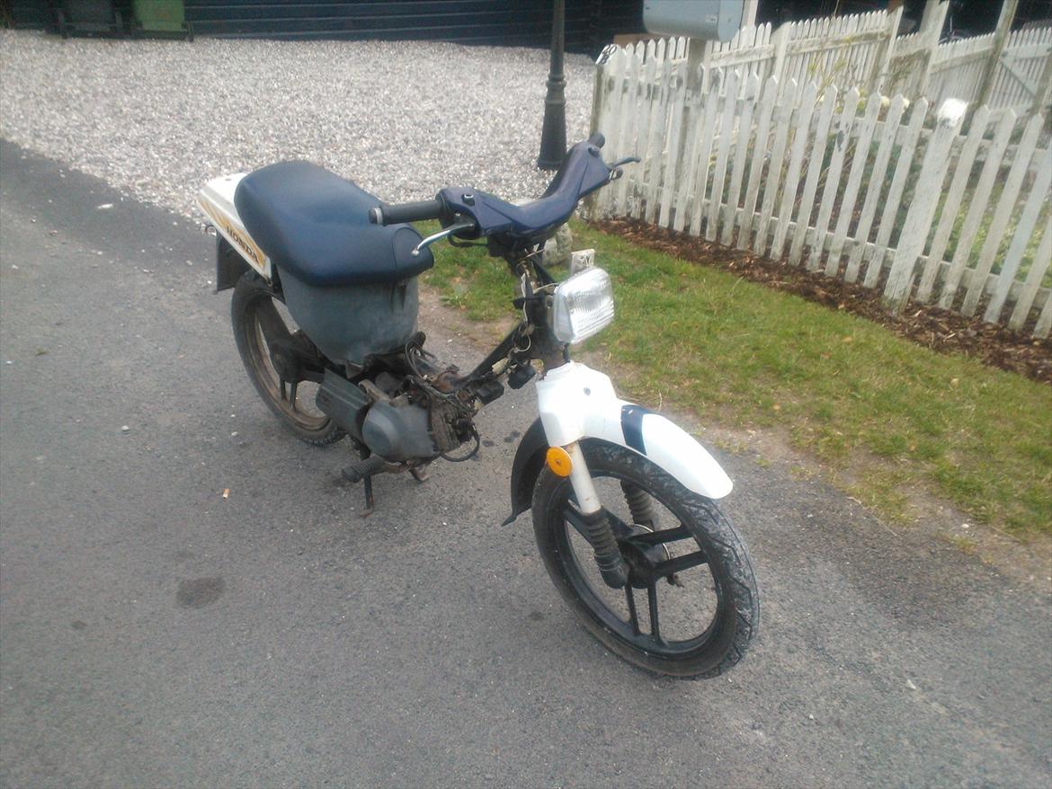 Honda wallaroo billede 3
