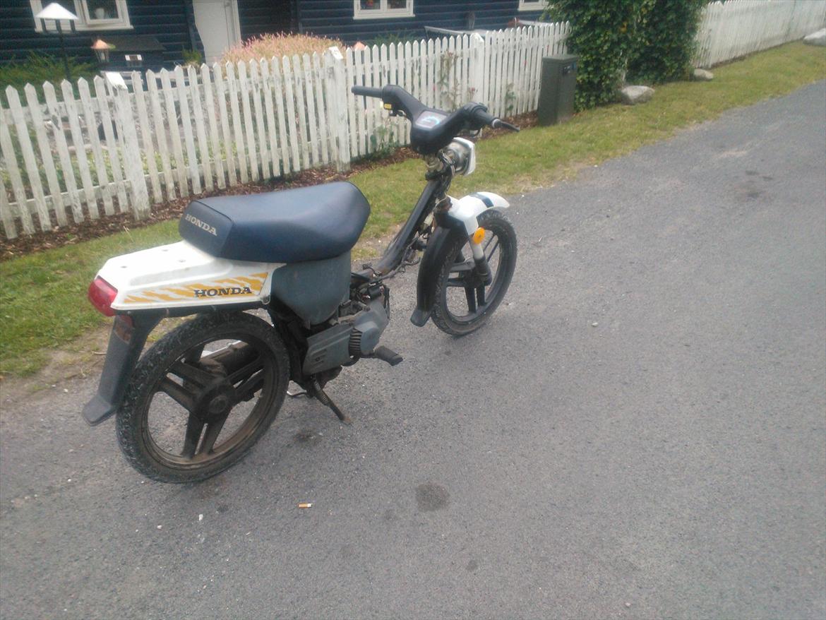 Honda wallaroo billede 4