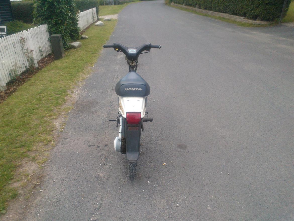 Honda wallaroo billede 5