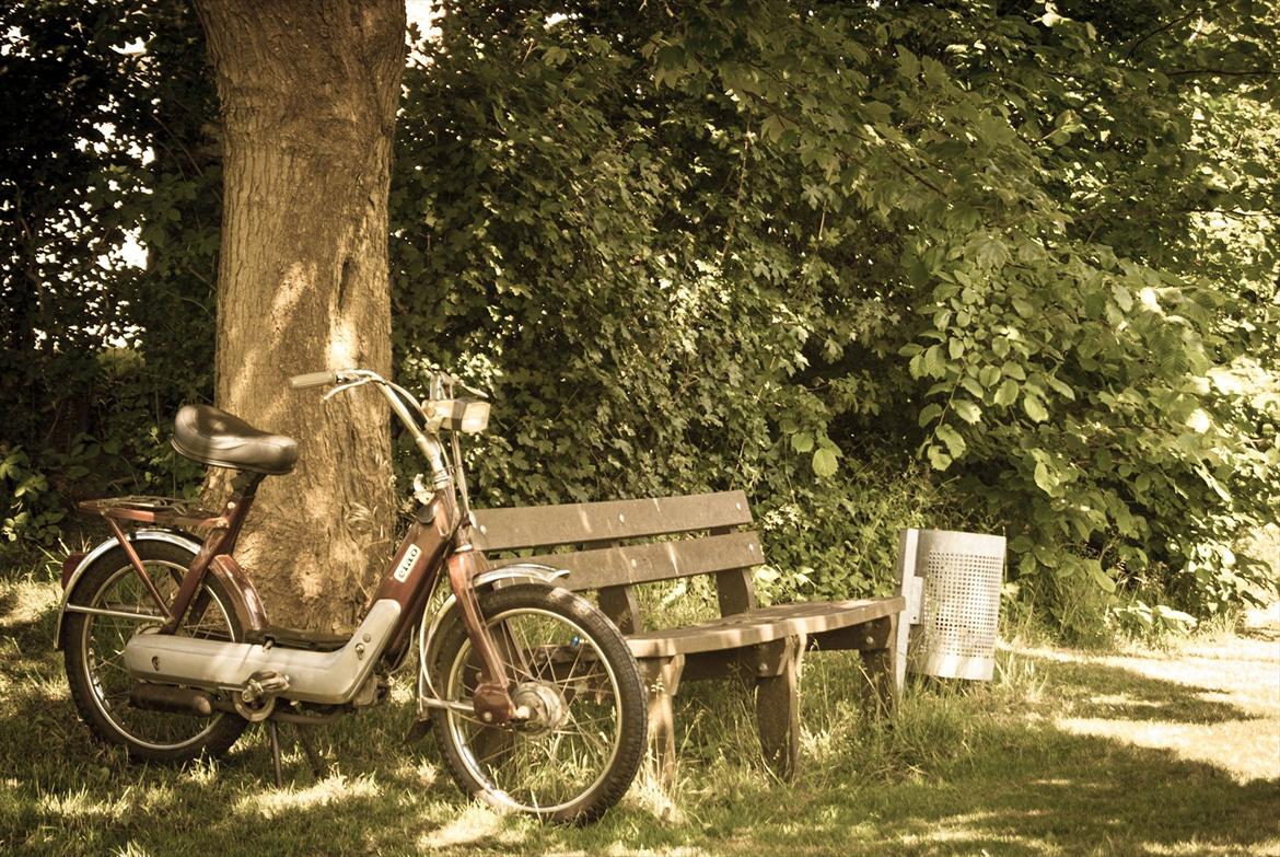 Vespa Ciao billede 1