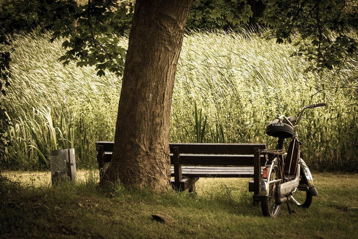 Vespa Ciao billede 3