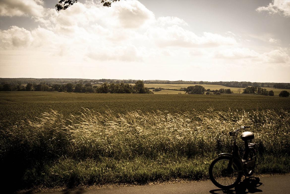 Vespa Ciao billede 9