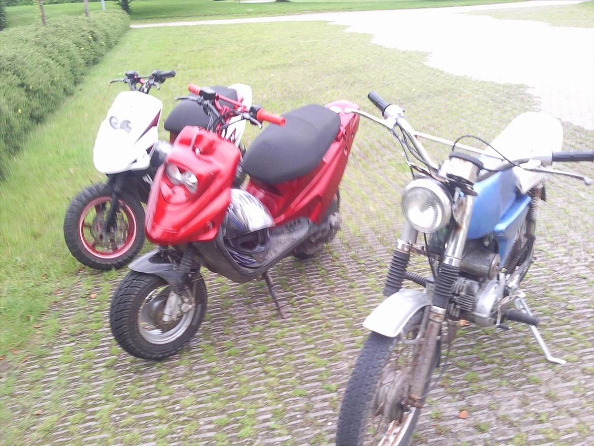 PGO hot 50 - 3 dejlige knallerter/scooter  billede 7