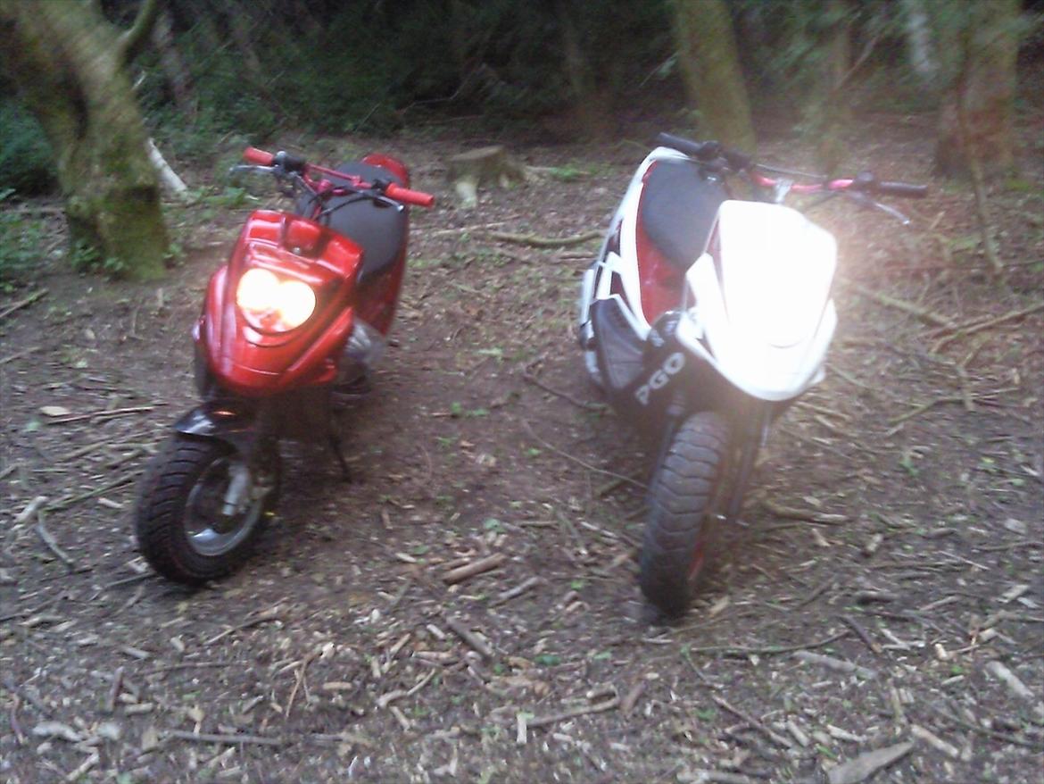 PGO hot 50 billede 12