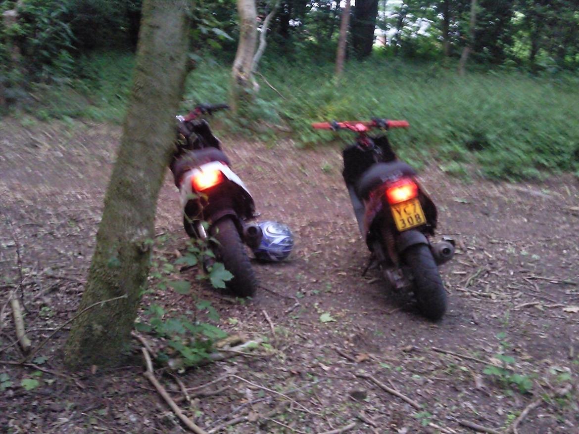 PGO hot 50 billede 13