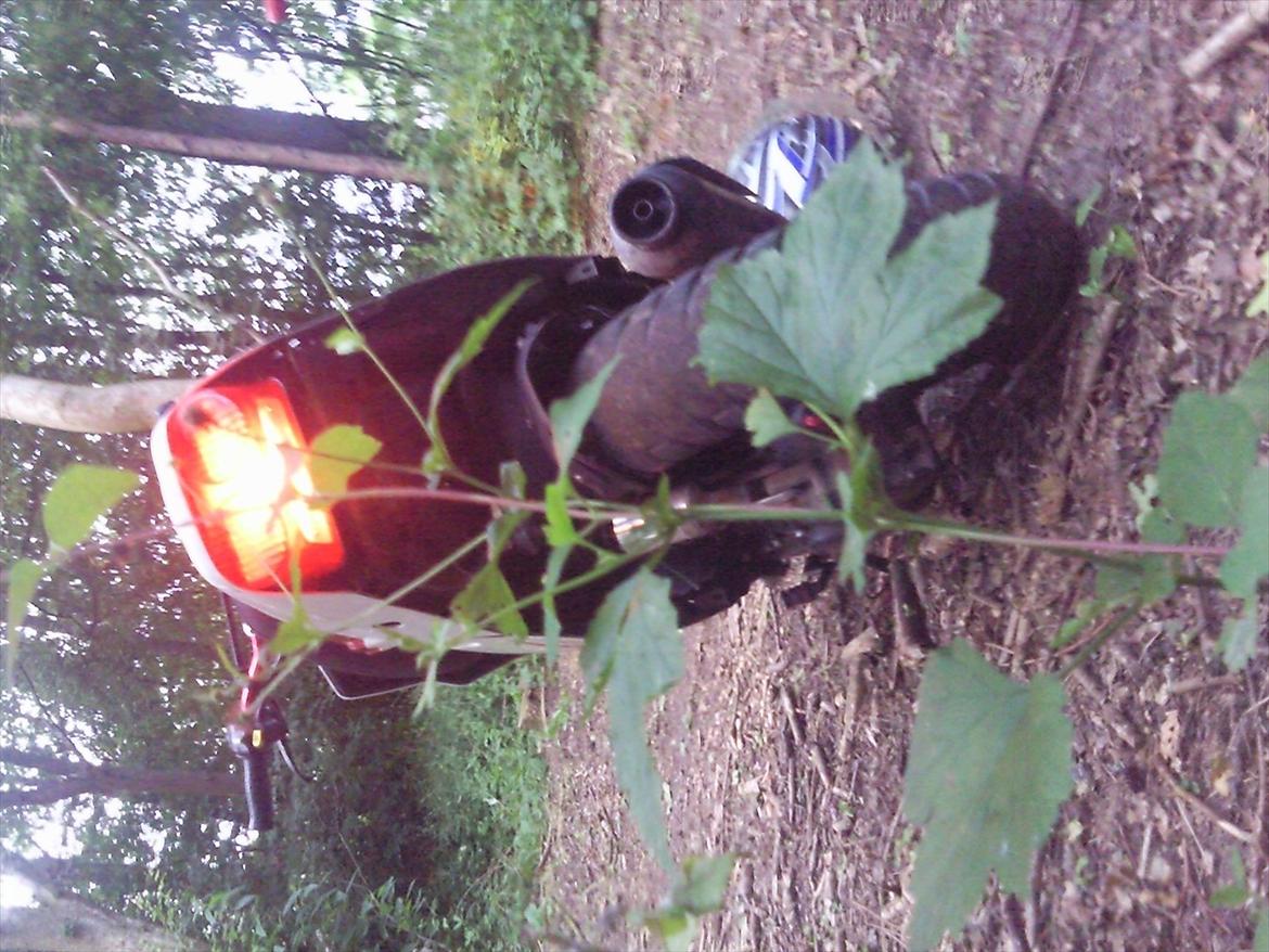 PGO hot 50 billede 14