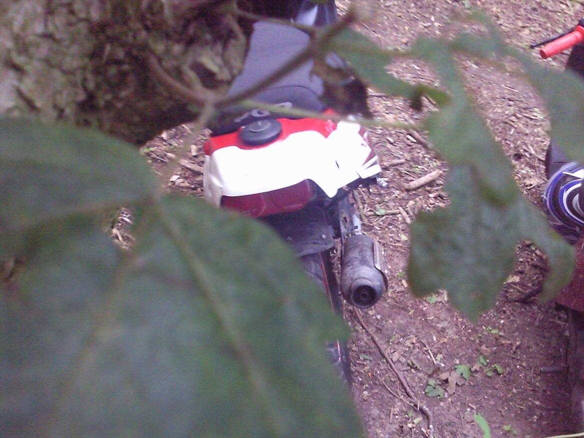 PGO hot 50 - ser jo godt ud fra alle sider :D billede 15