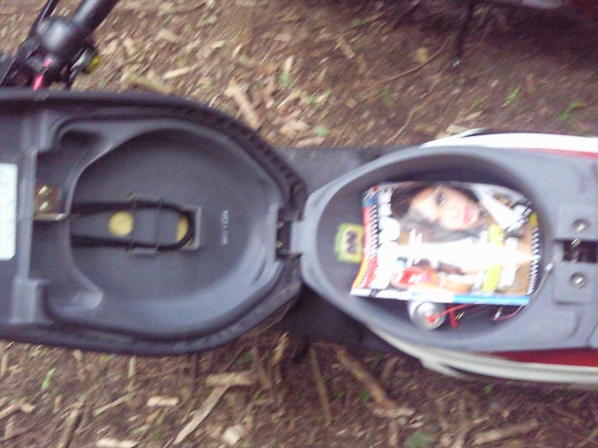 PGO hot 50 - Hjelboks, Ikke lige fordi jeg tog billedet uden at tænke over at der var nogen meget mærkelige blade i :D billede 17