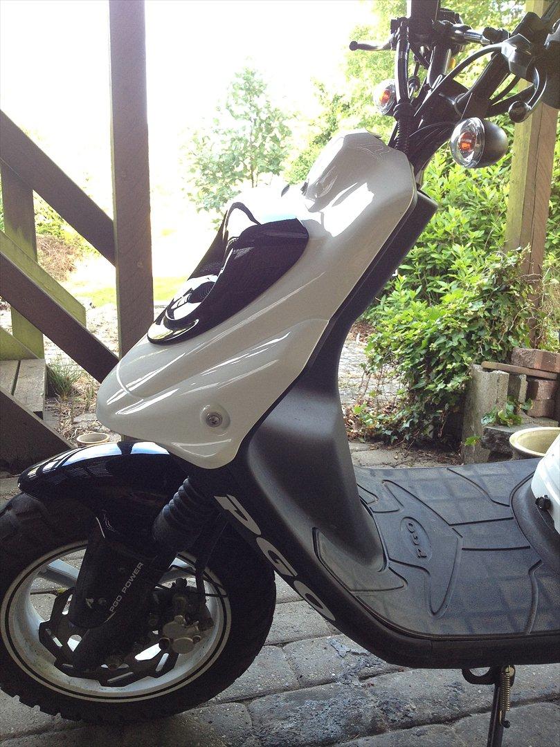 PGO hot 50 naked billede 6