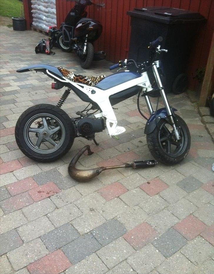 Suzuki Street Magic billede 6