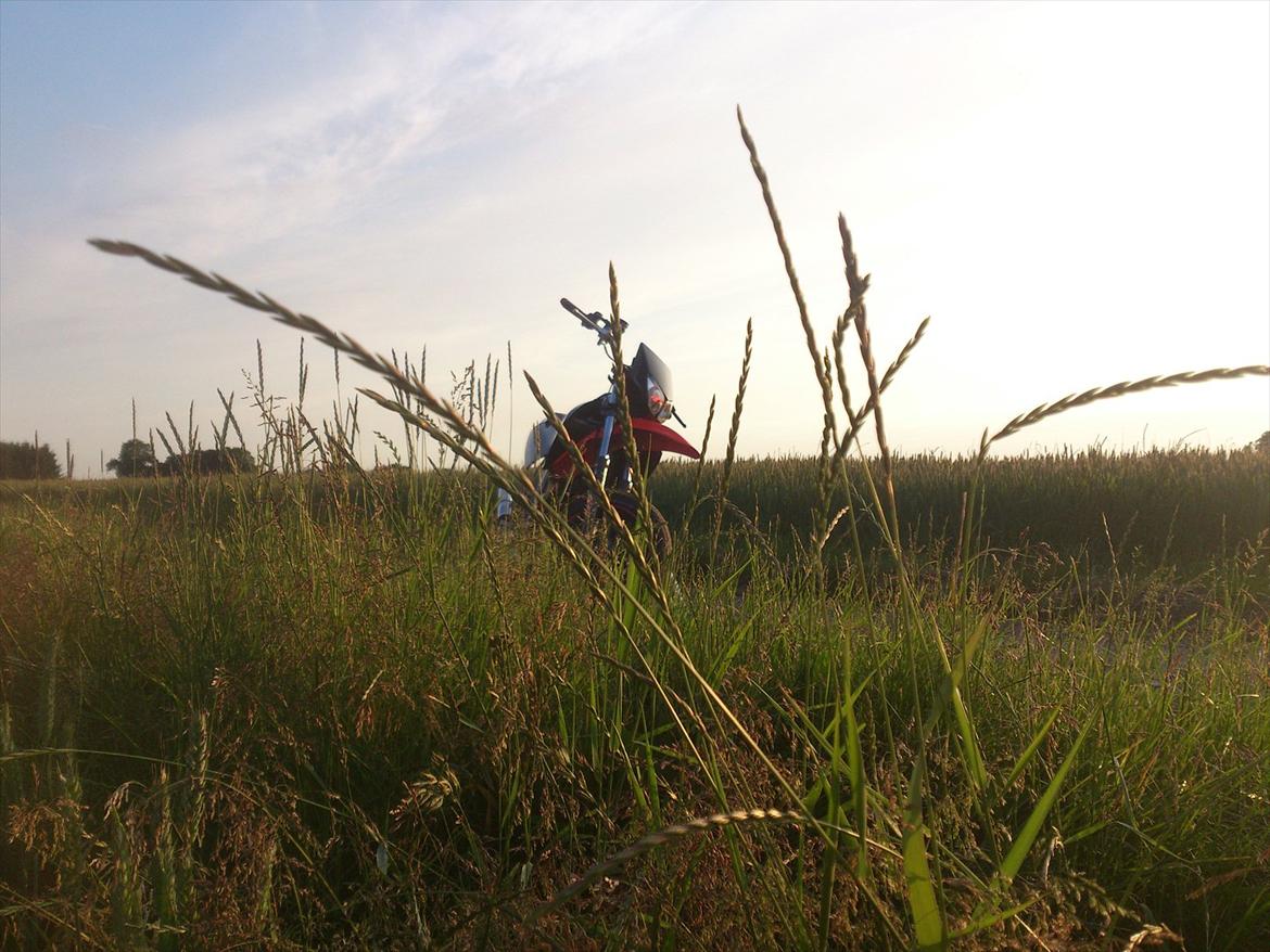 Derbi SENDA SM XTREME LC DD billede 18