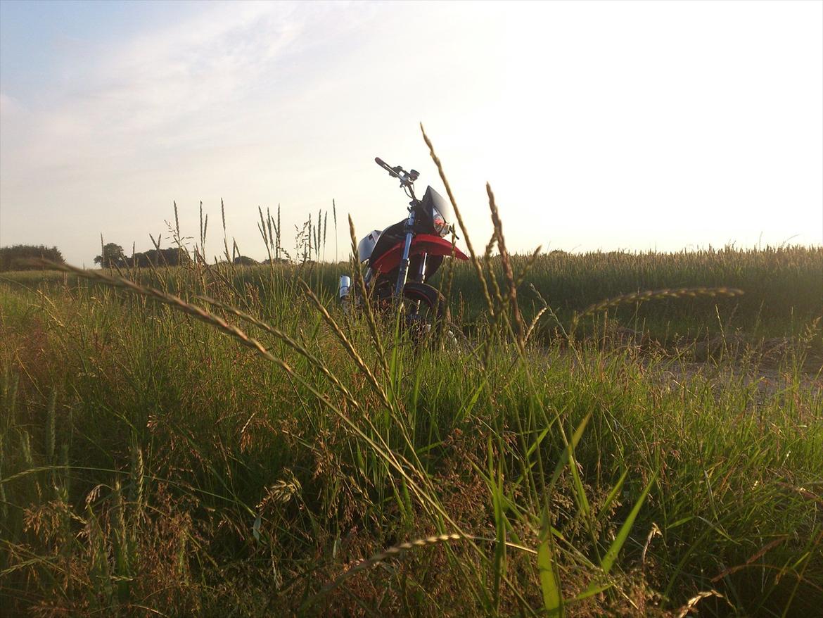 Derbi SENDA SM XTREME LC DD billede 19