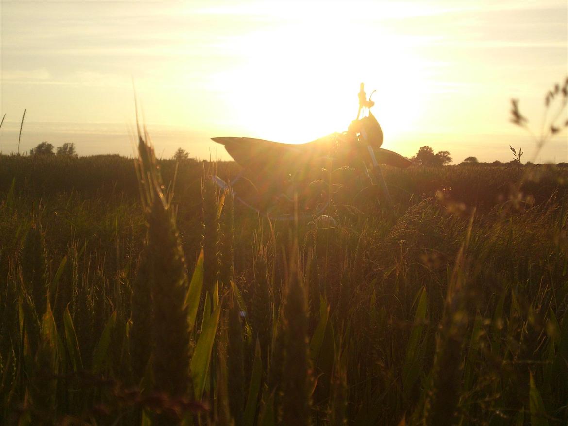 Derbi SENDA SM XTREME LC DD billede 1