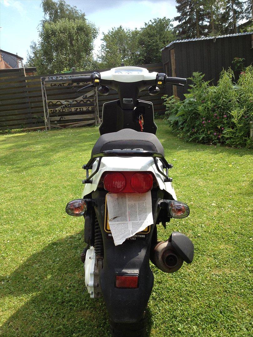 PGO HOT 50 billede 4