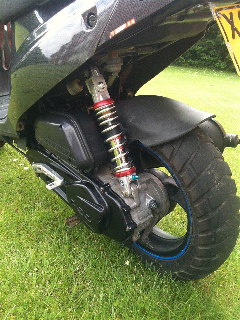 PGO Hot 50 - Carbon - billede 6