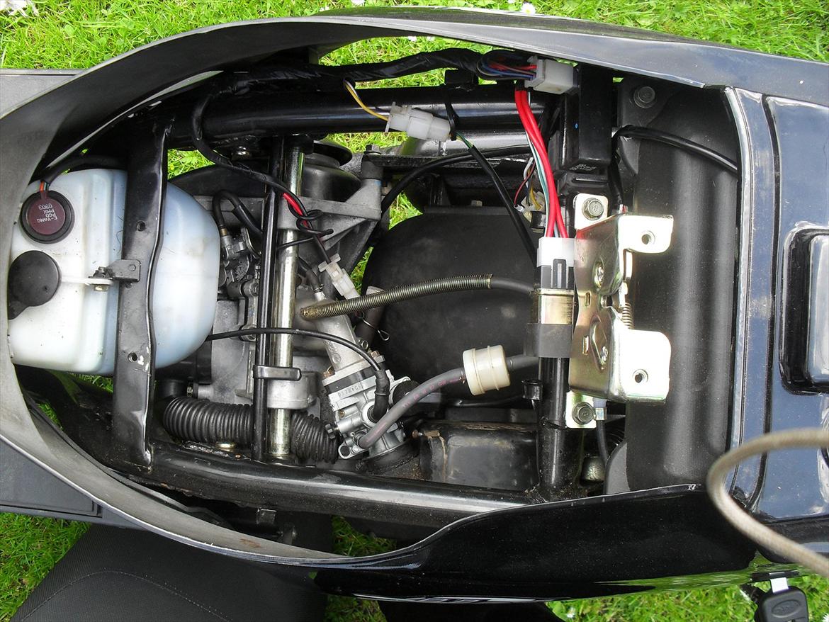 PGO hot 50 billede 11