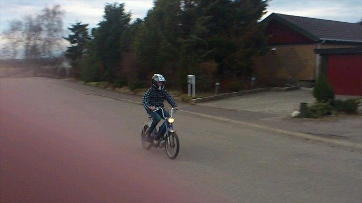 Puch Maxi K billede 2