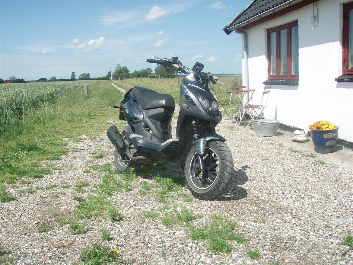 PGO Pmx Naked  billede 7