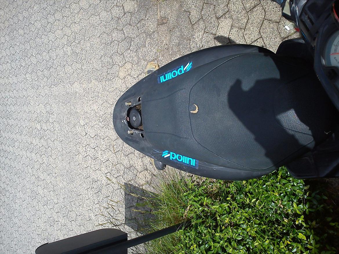 Keeway focus [BYD!] billede 19